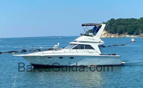 Trojan 10 Meter scheda tecnica e recensioni